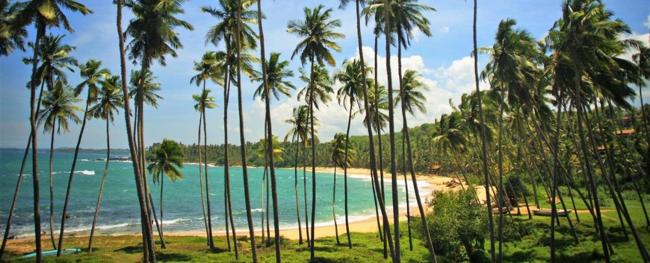 Sandaru Holiday Resort ウェリガマ エクステリア 写真